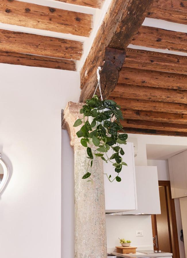 Rialto Apartment Near The Grand Canal Ac Wifi 威尼斯 外观 照片